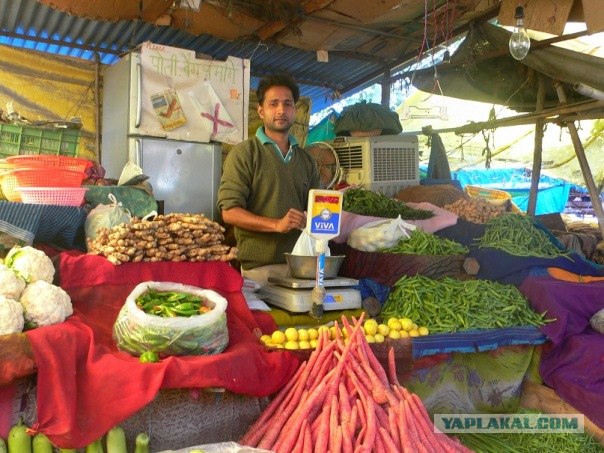 Путешествие по Индии