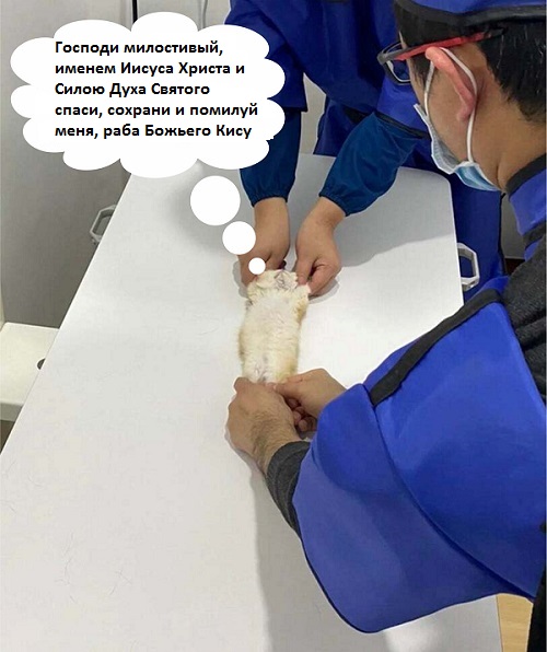 Медосмотр