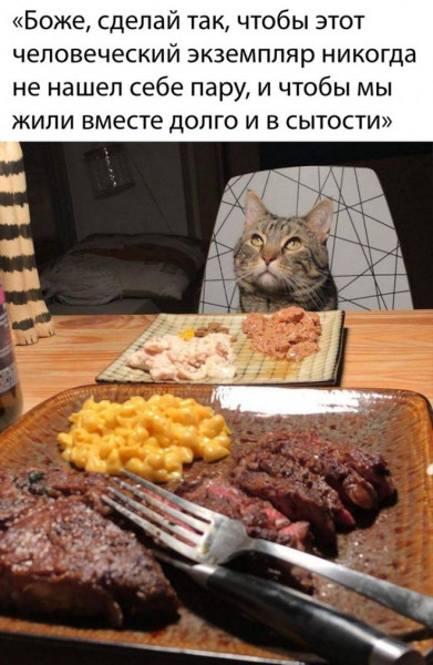 Пятница. И немного слегка пошлых картинок с надписями и без 16+ (27.05)