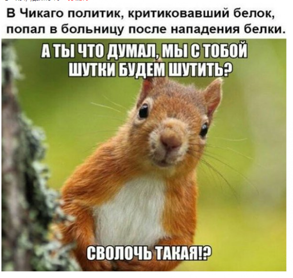 Картинки и мемы для настроения. Выходные рядышком...