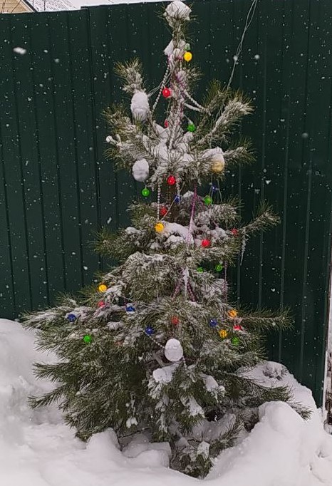 Выкладывайте свои елки!