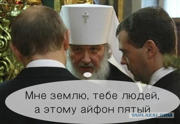 О безмозглости