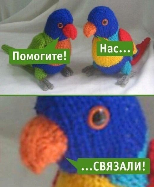 Кстати, где палач?
