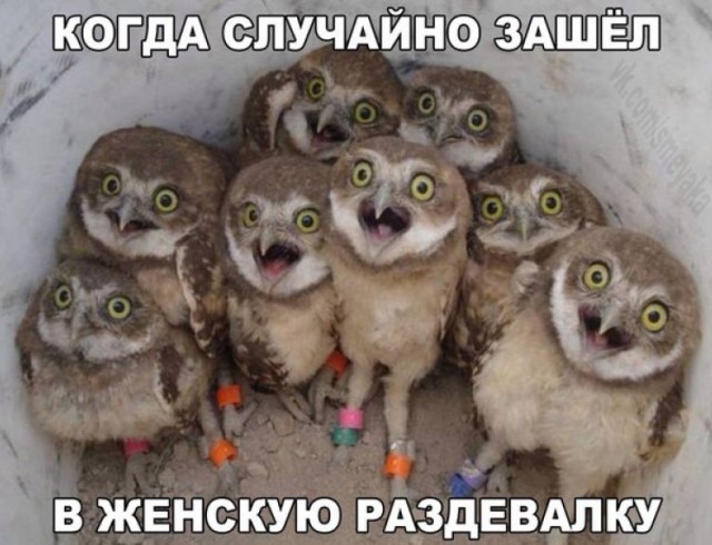 Всем хороших выходных - картинки и т.п.