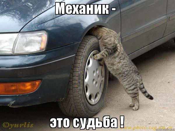 Немного картинок для настроения - 153