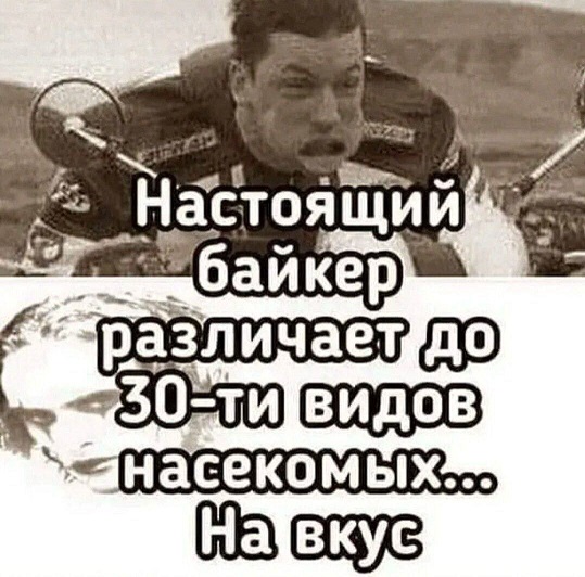 Победная поступь идиотизма по планете – том 12