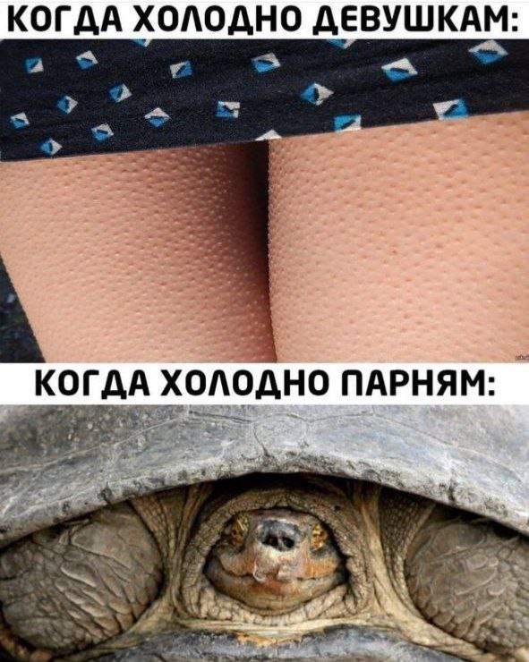 Картинки разнообразные