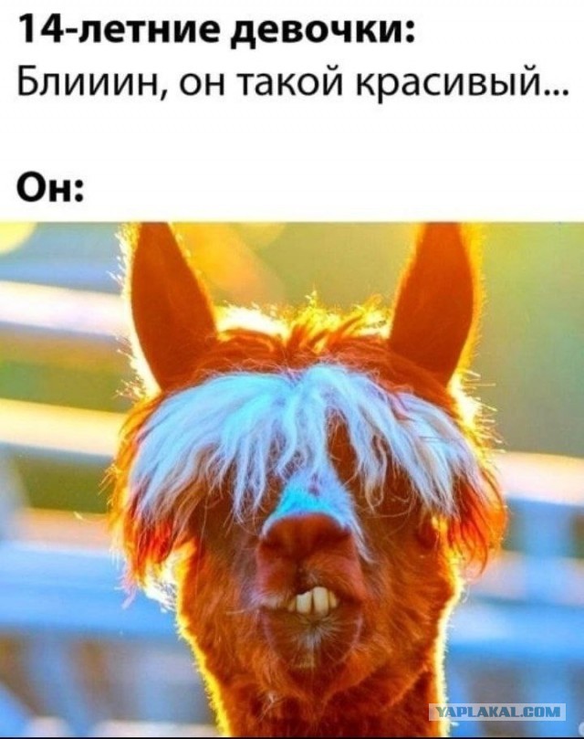Всего понемногу 24.05