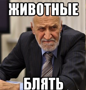 Медведь напал на людёв