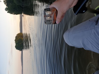 Лето. море