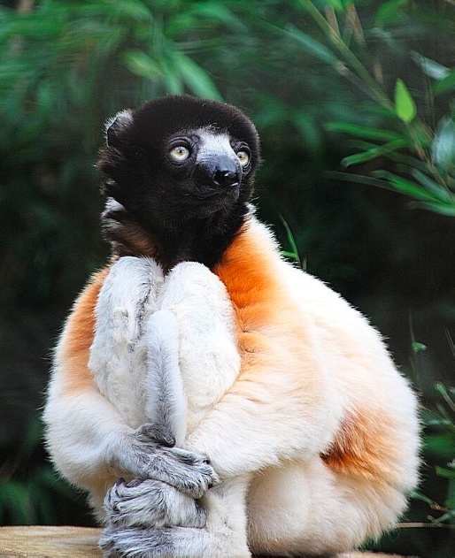 Так себе картинки 27.08.23