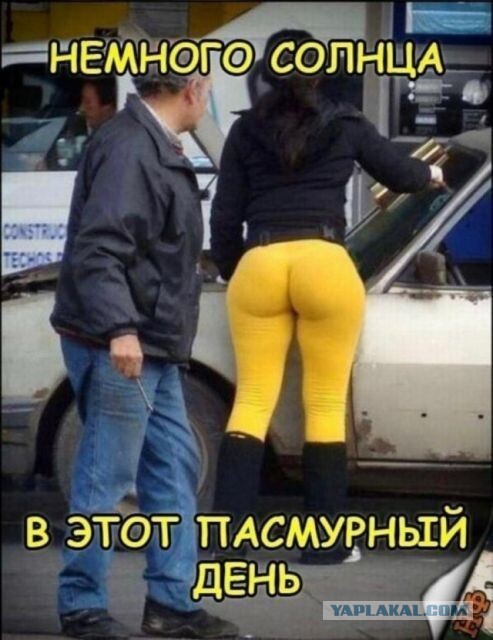 Немного юмора 18+