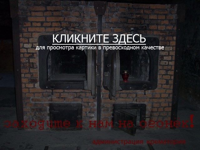 «Институт семьи должен перестать существовать»