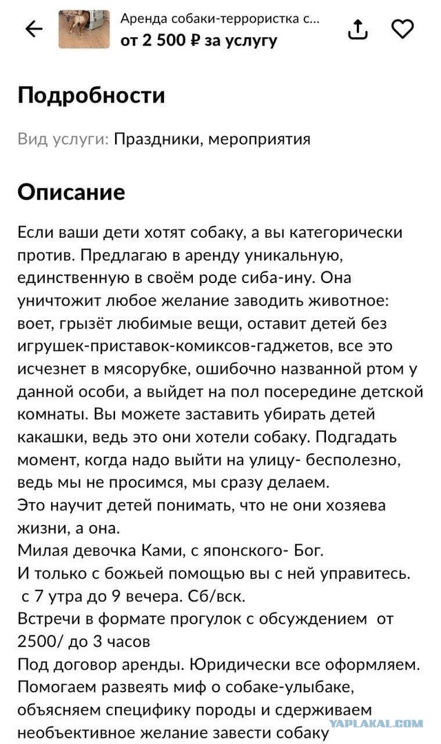 Дочка хочет собаку