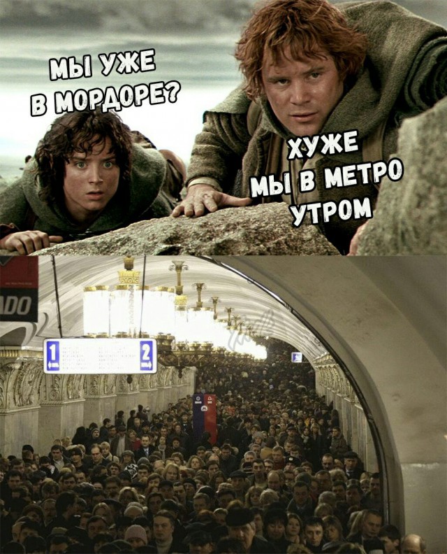 Общественного транспорта Москвы пост