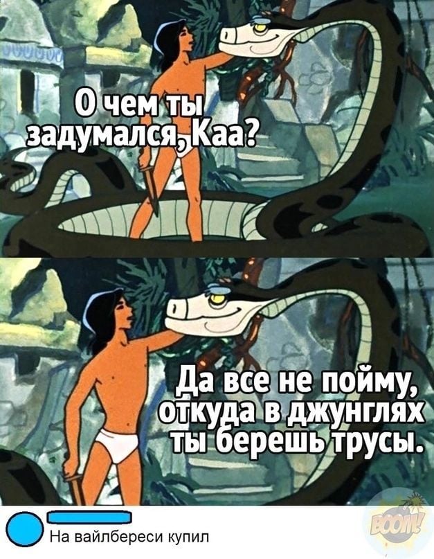Весёлый полтишок 22.10.23