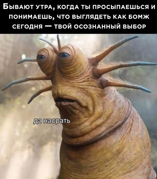 Всего понемногу. От 19.01.24