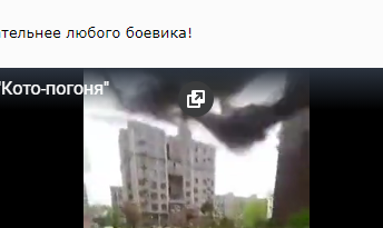 "Кото-погоня"