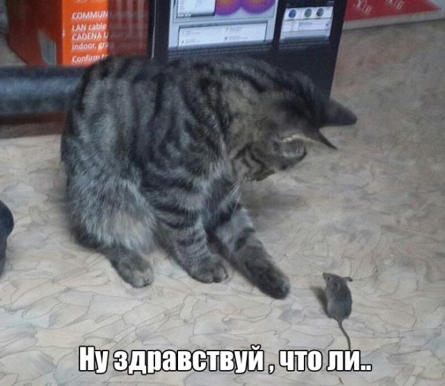Наскрябыл немного. Часть 4