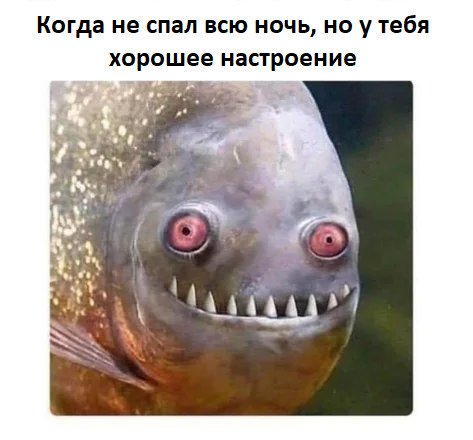 Веселые картинки к маленькой пятнице (31.06)