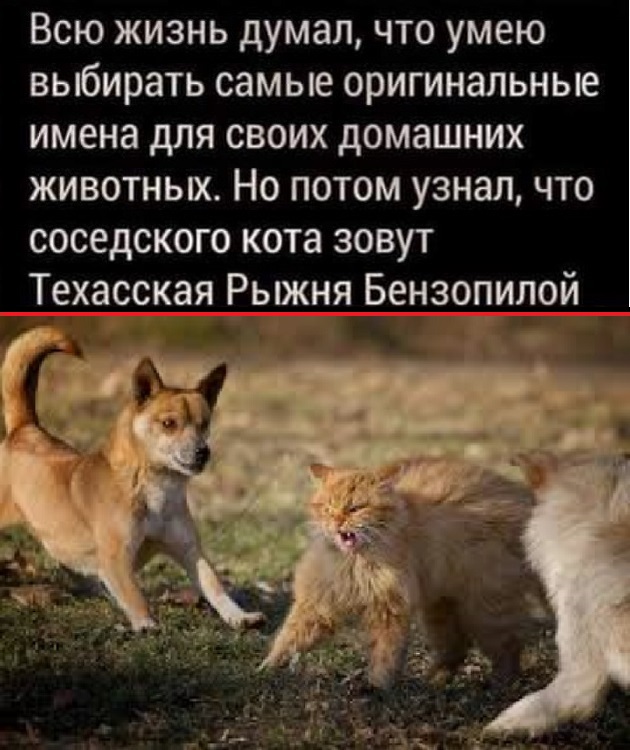 Картинки разные с надписями и без