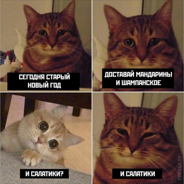Весёлые картинки 2