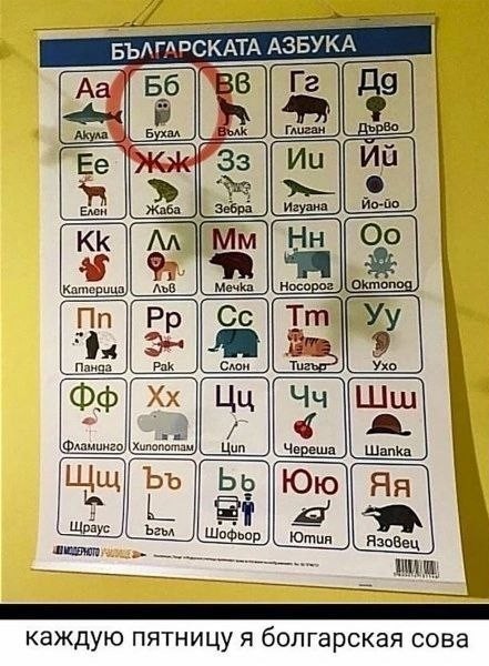 Просто картинки