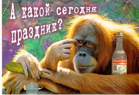 Осенняя. Интимная.
