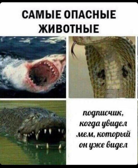 Картинки для деградации 64 (разной степени свежести)