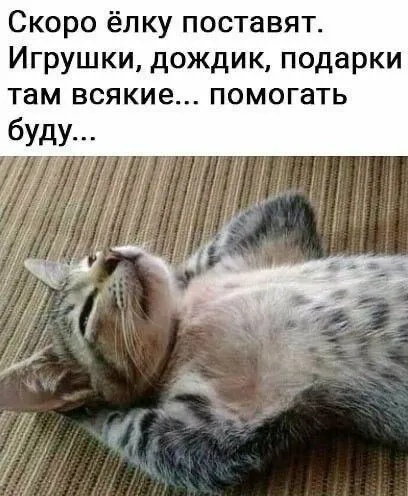 А у кого-то началась его первая зима