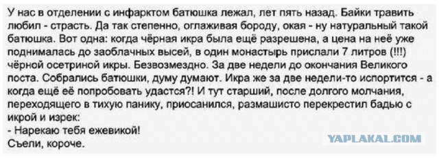 Так себе картинки 26.11.25