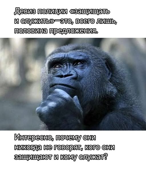 Забавные картинки, шутки из этих ваших интернетов