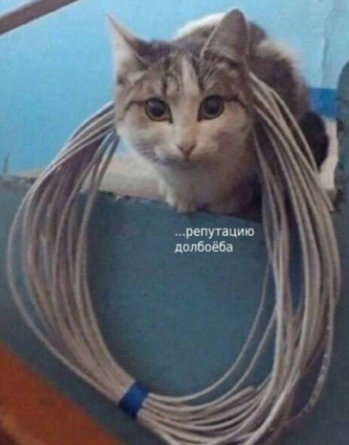 Картиночки, баянчики 24 января