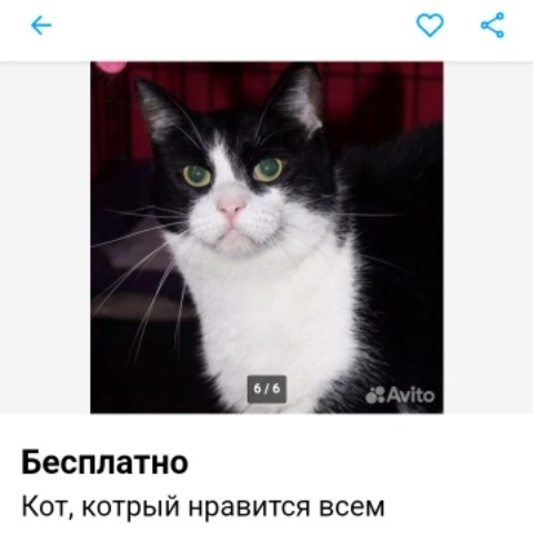 Жизнь на острове
