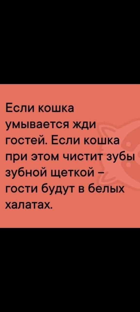 Дегрономикон 15