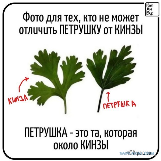 Четверговые картинки