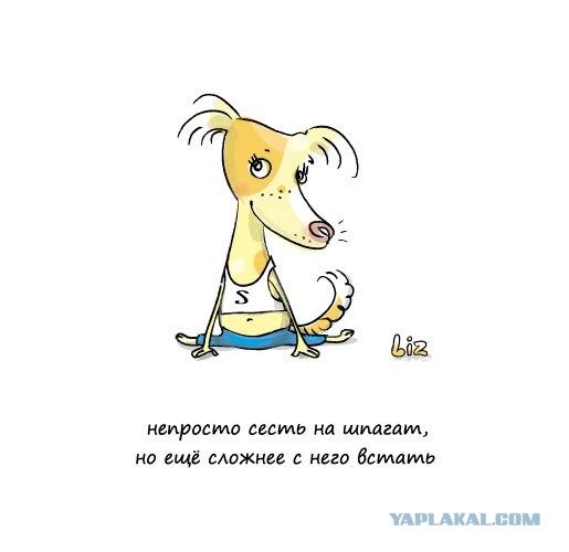 мои персонажи