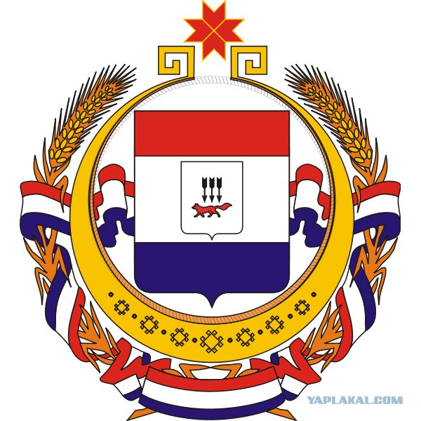 "Бирюлево" случилось в Мордовии