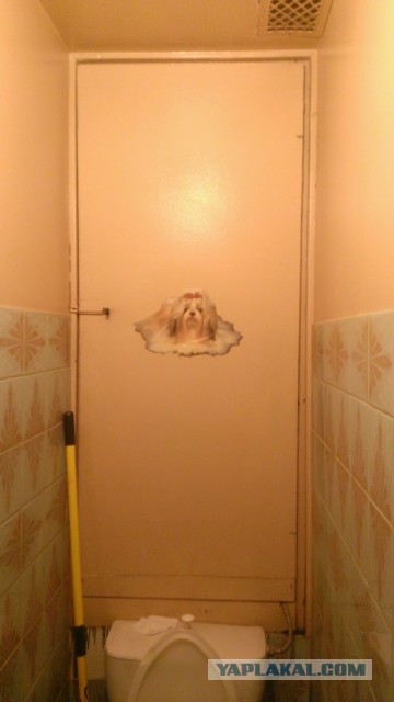 Ремонт малогабаритной "двушки"