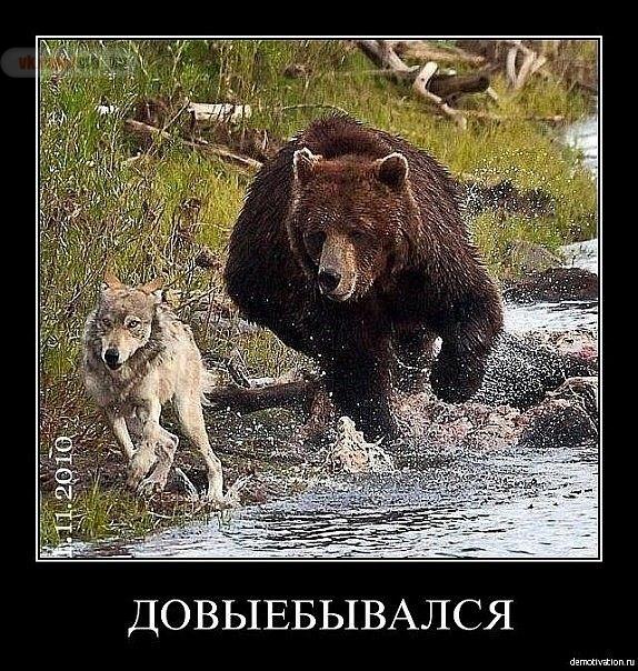 Ляшко поймали