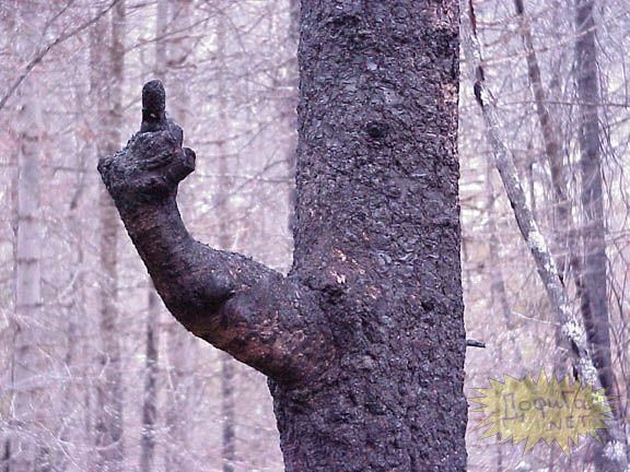 А на кого похож?