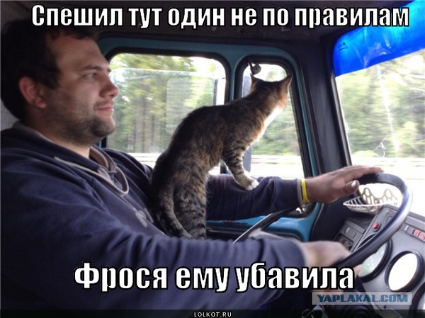 К успеху спешил..