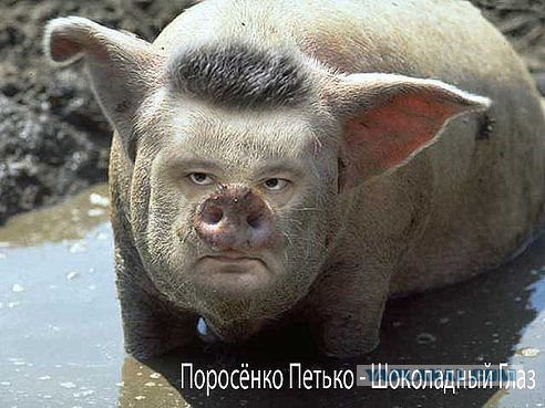Убийственная для хунты