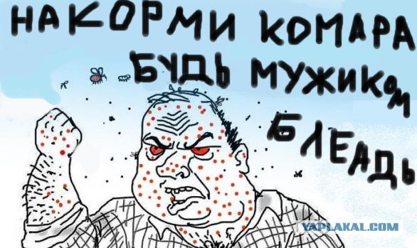 Камары блеать!