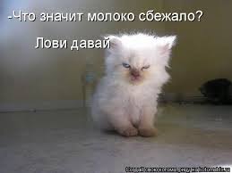 Добряки, плюсующие всех подряд