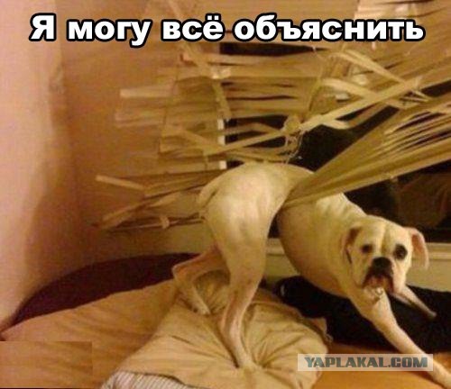 Поднимаем настроение