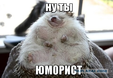 Дневник Домового