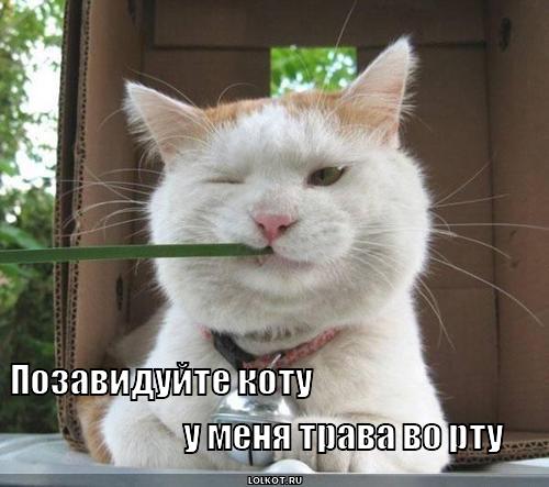 6 Заповедей UQодрочера