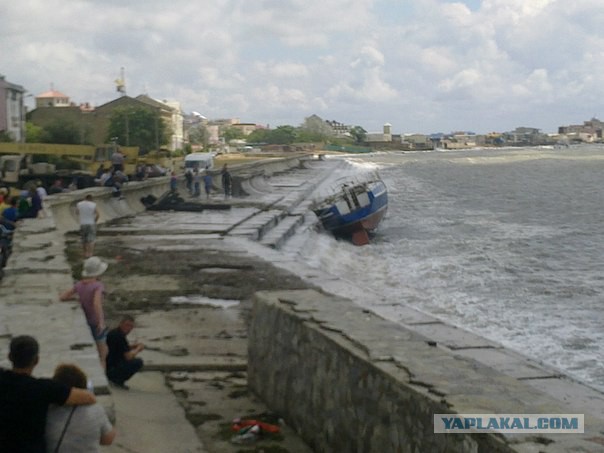 Последнее фото с Вашего телефона.