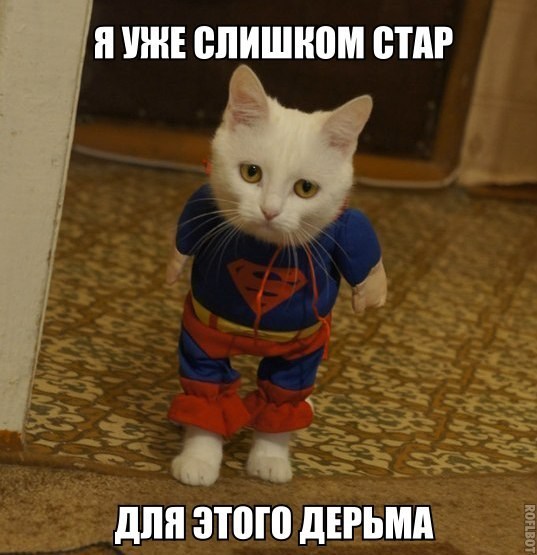 Прикольная пятницо